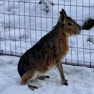 155bd151-3031-41fe-b2d2-1187343657d6