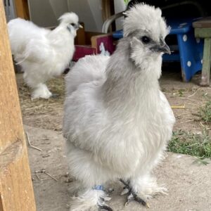 46de1408-ca1d-4d36-a32e-dacd4a98145f