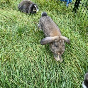 48b2a388-4cc4-4c2e-adbe-65695b61f59d