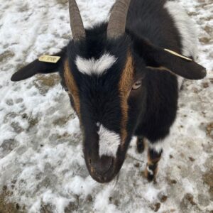 68cb9c7c-7782-4a26-98ee-be3e81fefa7c