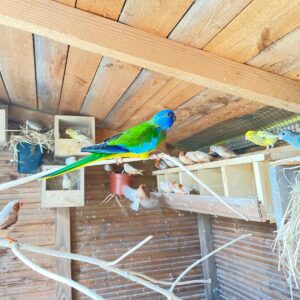 c14177a1-dc15-4262-b229-0803e128c54e