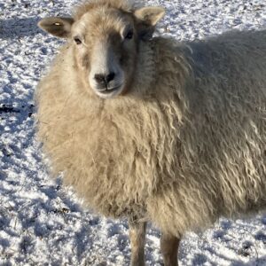 cf7ca6f1-903e-4bd1-8e59-b9a1b7c170f1