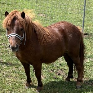 IMG_1735